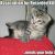 :iconi-kissed-a-vampire: