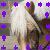:iconi-lika-da-cheese: