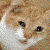 :iconi-love-murphy:
