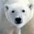 :iconi-love-my-dog: