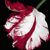 :iconi-love-twilight: