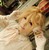 I-MY-ME-MINE :iconi-my-me-mine: