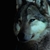 :iconi-pondered: