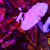 :iconi-taste-god: