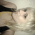 :iconi-vomit-couture: