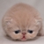 :iconi-will-eat-you: