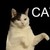 :iconi-wish-i-was-a-cat: