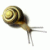 :iconi-wunsch: