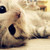 :iconiam-sleepyhead: