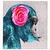 :iconiamababblingbrook:
