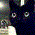 iamacatmeow :iconiamacatmeow: