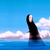 :iconiamadreamerforever: