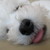 :iconiambess: