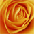 :iconiamcharmed: