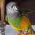:iconiamepica:
