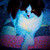 :iconiamforrestsmom: