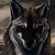 :iconiaminsanity2000: