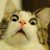 :iconiammonchai:
