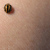 :iconIAmSpam: