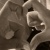 :iconiamstel: