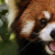 :iconiamtehninjawaffle223: