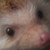 :iconiamv404: