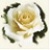 :iconiAngelofMusic: