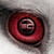 :iconianmoone1672: