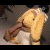 :iconiano: