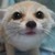 :iconiauzeporfa: