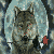 :iconibashidarkwolf: