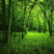 :iconibexslyre: