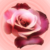 :iconibillygoati: