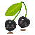 :iconiblackcherry: