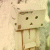 :iconiblameagnes: