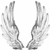 :iconicanfly: