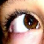 :iconicaroline: