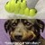 :iconicasey91: