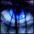 :iconice-9photo: