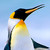:iconice-machine: