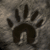 :iconIce-Raccoon: