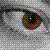 :iconice-rose: