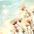 :iconice21122:
