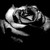 :iconice89center:
