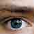 :iconicebaer-lars: