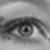 :iconicebat: