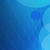 :iconicebergcreativity: