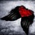 :iconiceblue2000: