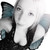 :iconicecreamforsupper: