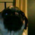 :iconicecreamluver: